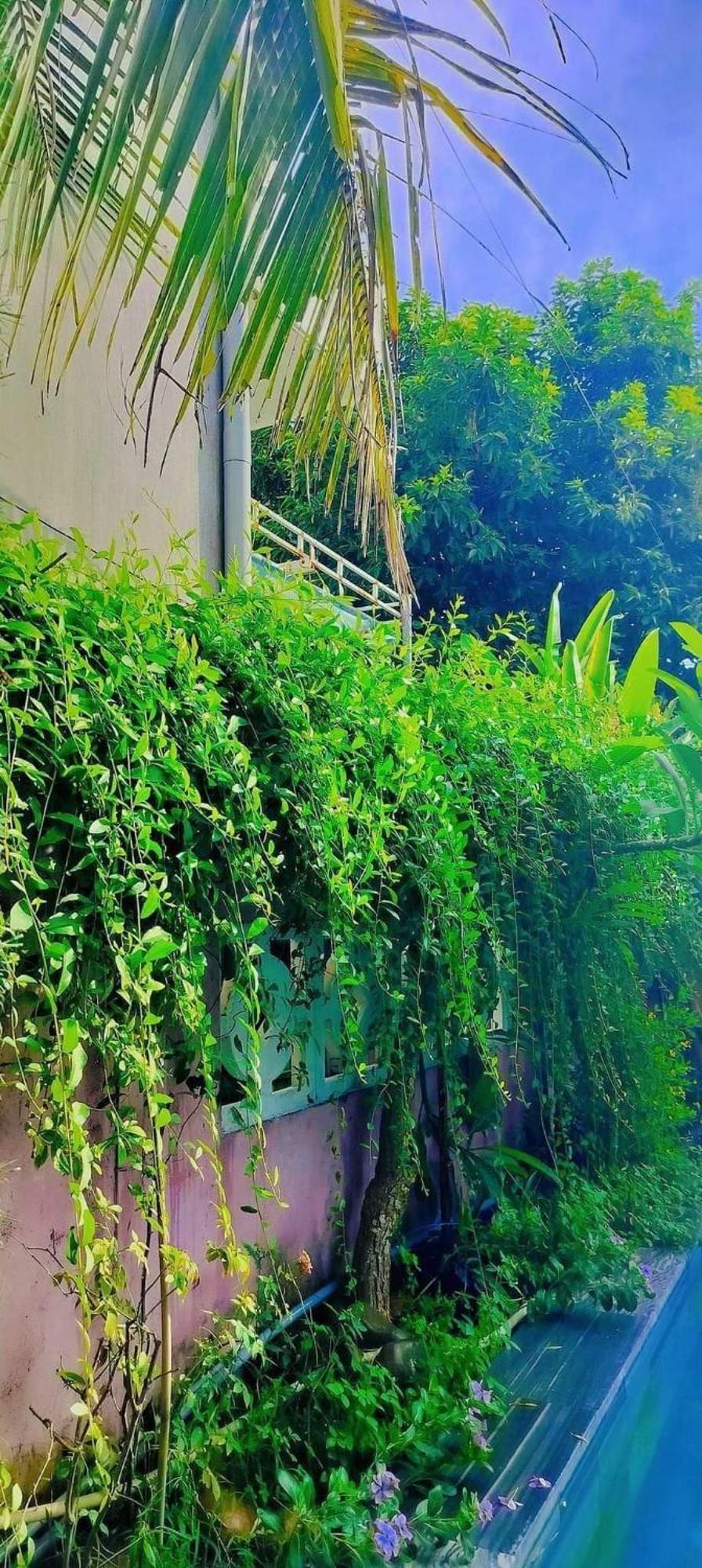 会安山屋别墅 外观 照片